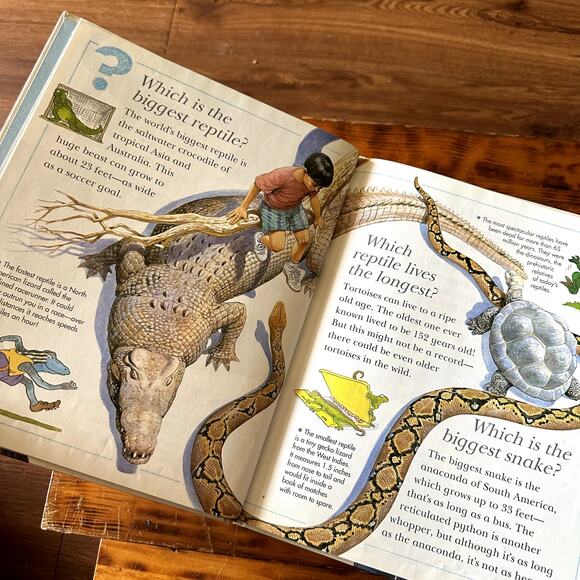 Vtg I Wonder Why Snakes Shed Their Skin & Other Questions About Reptiles Book - Picture 3 of 7